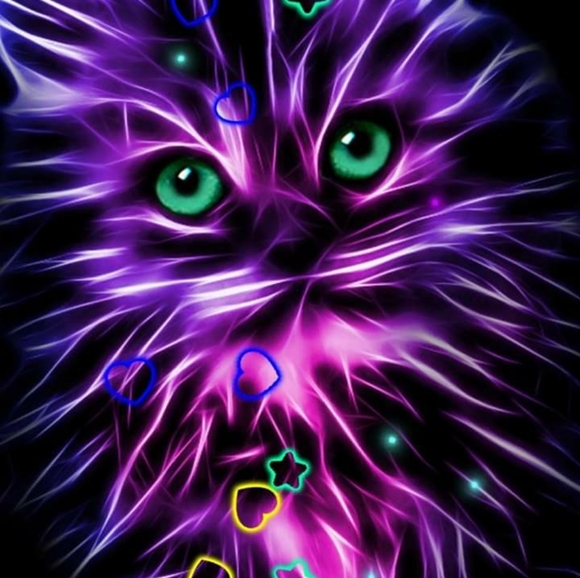 Posh Ambassador - Picture 1 of 1